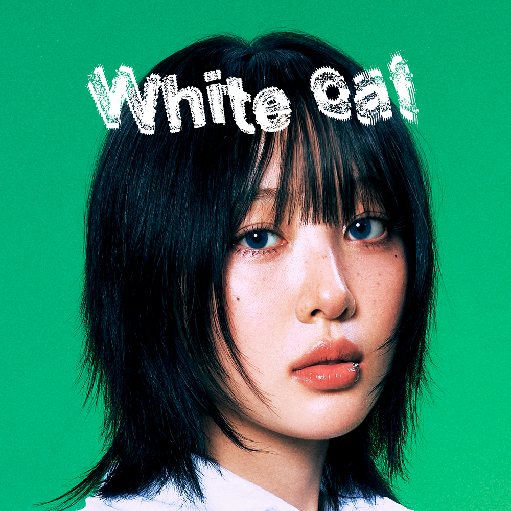 앨범 이미지